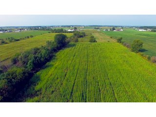 Allen County, Indiana Farmstead - FARMSTEAD AUCTION - 41+/- ACRES IN 4 TRACTS IN ALLEN COUNTY, INDIANA